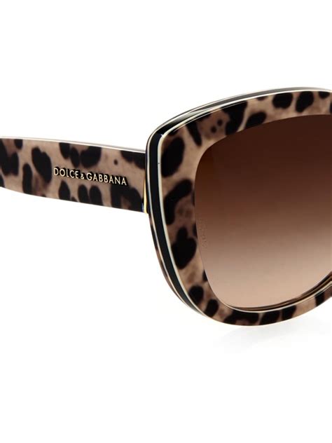 dolce gabbana leopard sunglasses|dolce gabbana sunglasses outlet.